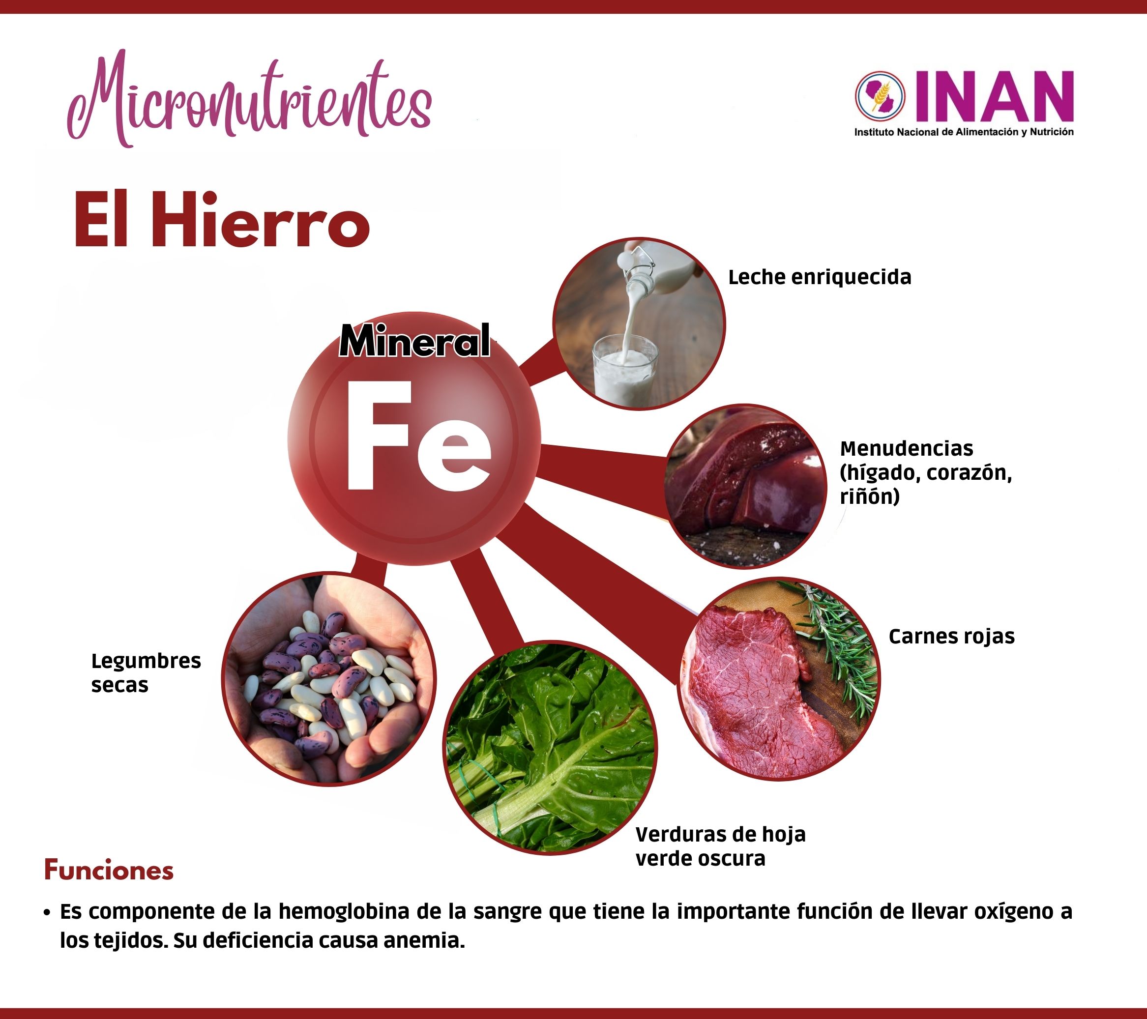 Conozcamos Más De Los Minerales Inan 9595